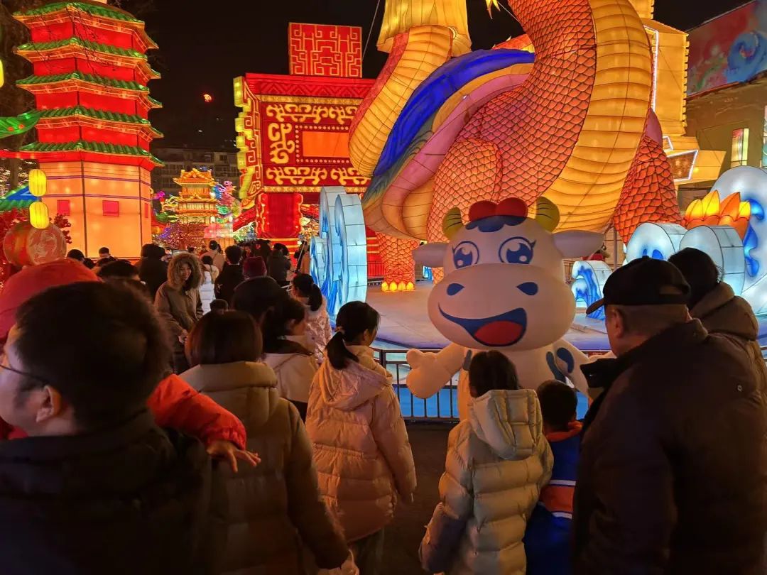 央視直播鄭州龍年燈會(huì)迎新春，花花牛品牌上大分