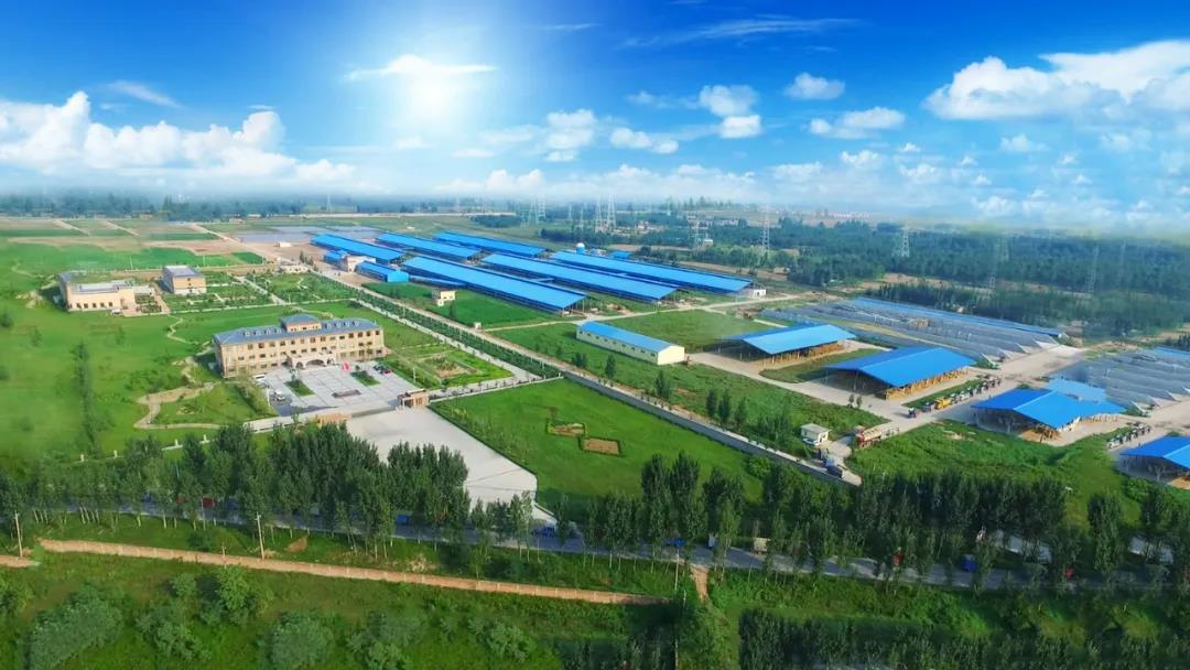 花花牛丨河南農(nóng)業(yè)大學(xué)黨委副書記、校長介曉磊一行蒞臨花花牛河南瑞亞參觀調(diào)研