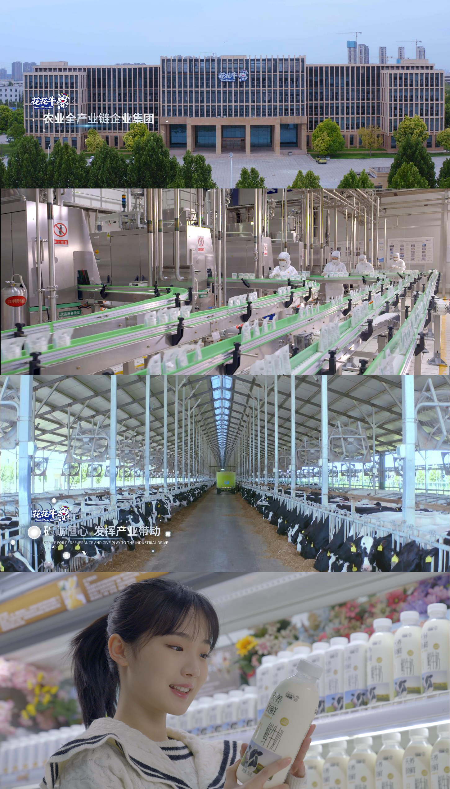 快訊 | 沈陽(yáng)市政府副市長(zhǎng)鄭濱一行蒞臨花花牛乳業(yè)集團(tuán)考察
