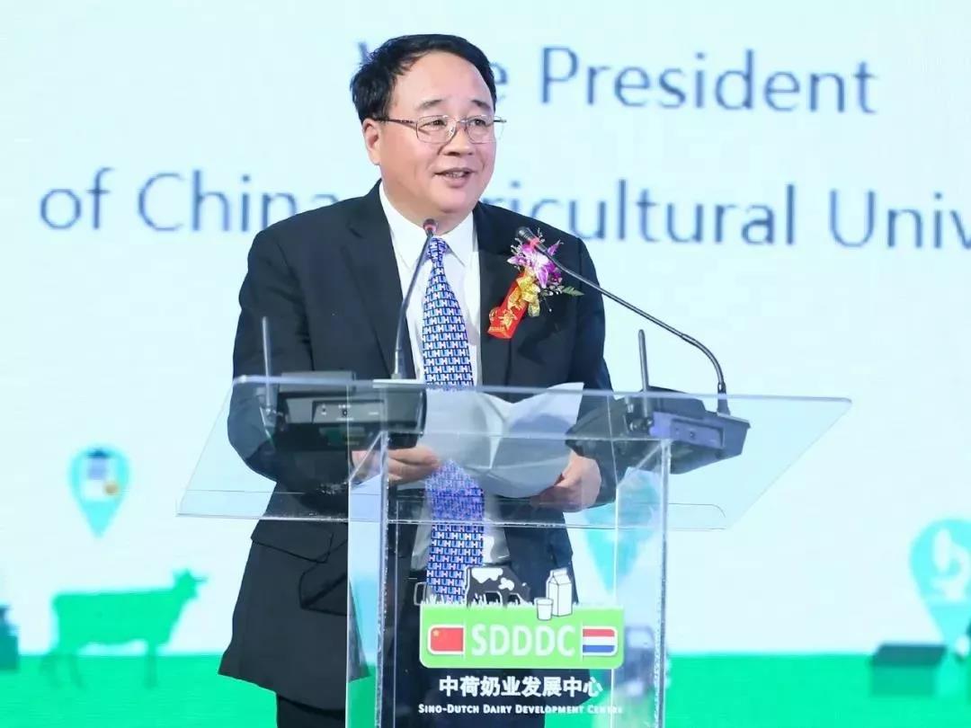 SDDDC走進河南，看看花花牛的國際范兒！