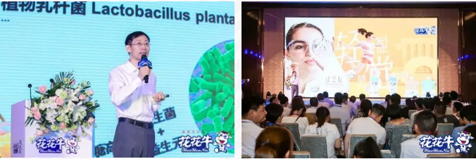 花花牛輕覺上市暨優(yōu)質乳工程認證發(fā)布會，盛大啟幕！
