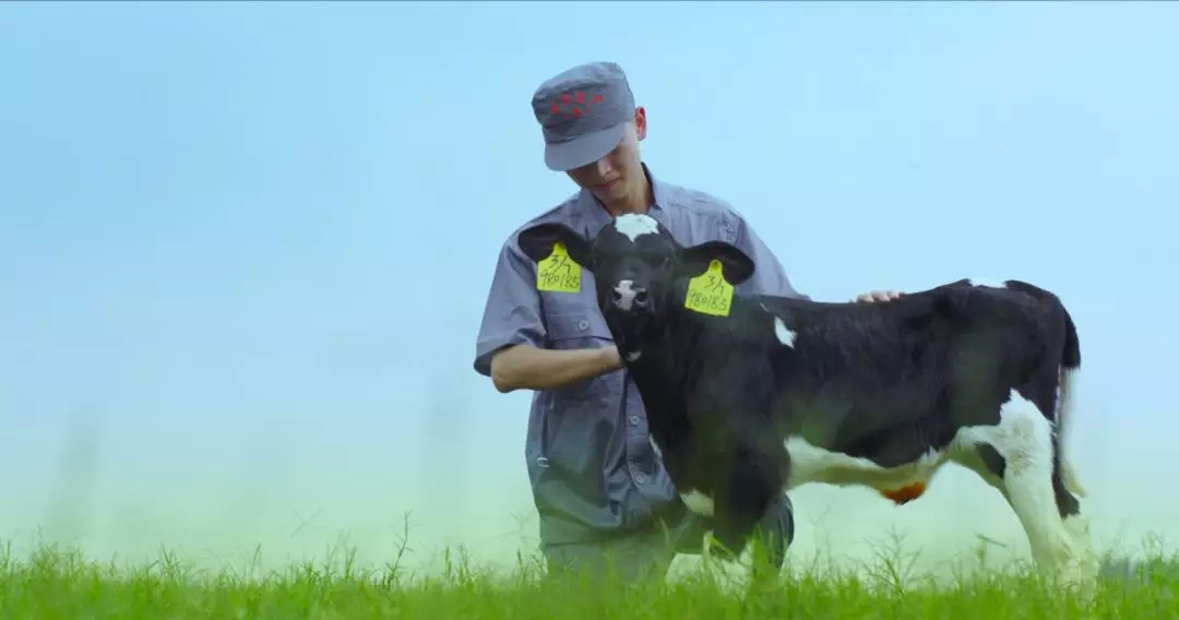 喜報(bào) | 國(guó)家市場(chǎng)監(jiān)管總局抽檢，花花牛等112家企業(yè)乳品抽檢全部合格