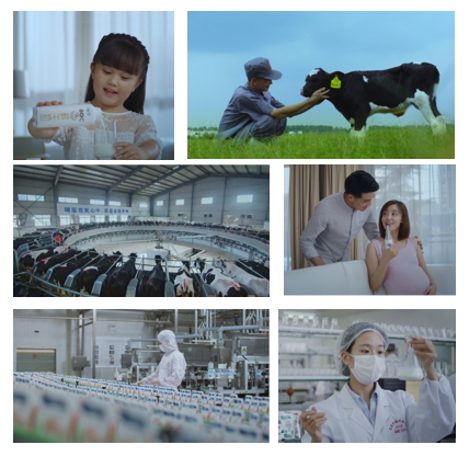 花花牛亮相中國(guó)奶業(yè)20強(qiáng)呼倫貝爾峰會(huì)，共話中國(guó)奶業(yè)振興！