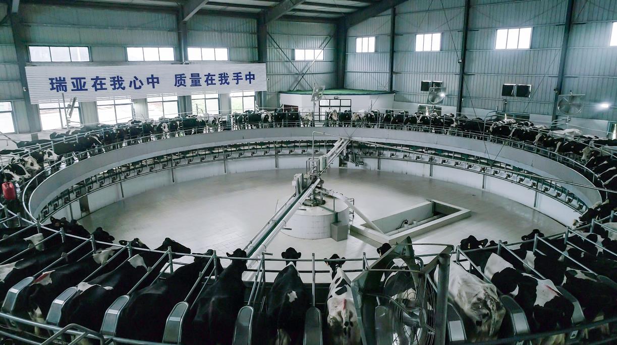 又雙叒叕獲獎啦！花花牛榮獲“乳品質(zhì)量安全管理 優(yōu)秀企業(yè)”