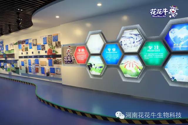 花花牛：務(wù)實(shí)、創(chuàng)新領(lǐng)潮市場(chǎng) 大企業(yè)體現(xiàn)大擔(dān)當(dāng)