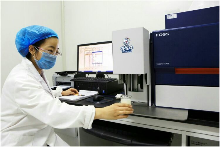 花花牛：務(wù)實(shí)、創(chuàng)新領(lǐng)潮市場(chǎng) 大企業(yè)體現(xiàn)大擔(dān)當(dāng)